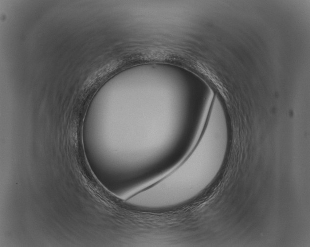 X0000086740681200704130733