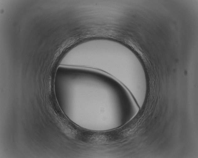 X0000086740685200704130733