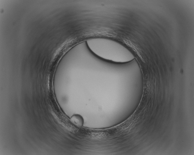 X0000086740686200704130733