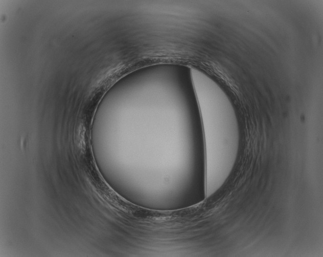 X0000086740692200704130733