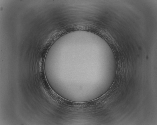 X0000086740694200704130733