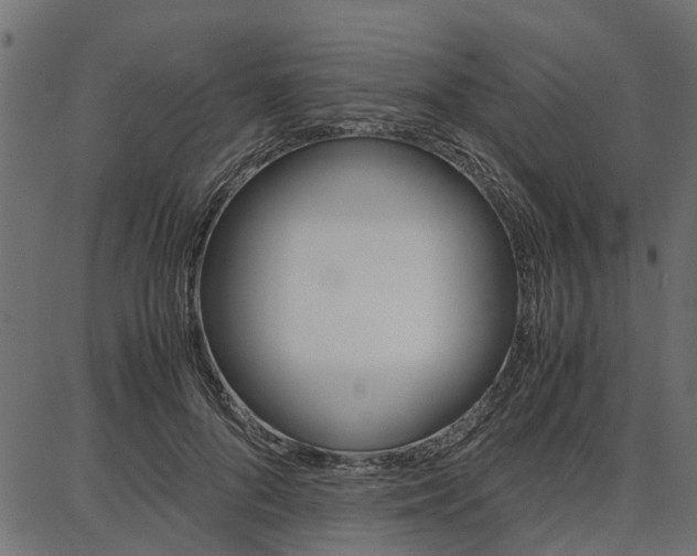 X0000086740696200704130733