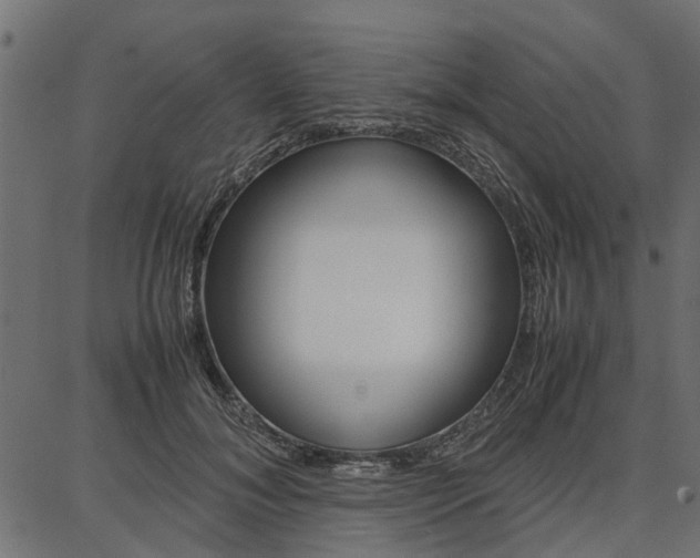 X0000086740700200704130733