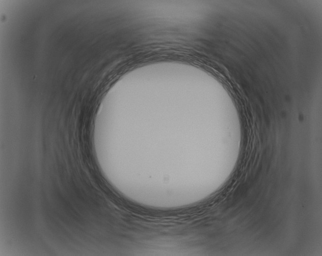 X0000086740701200704130733