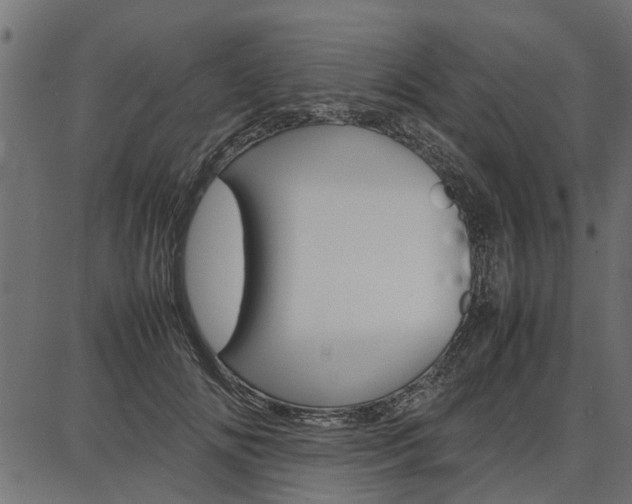X0000086740702200704130733