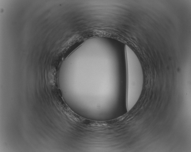 X0000086740712200704130732