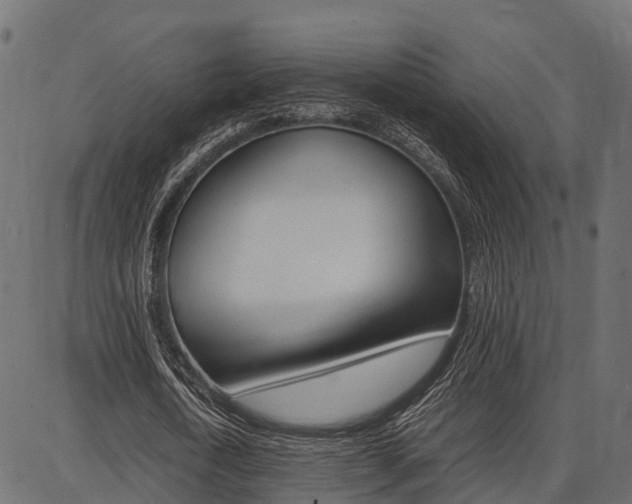 X0000086740722200704130732