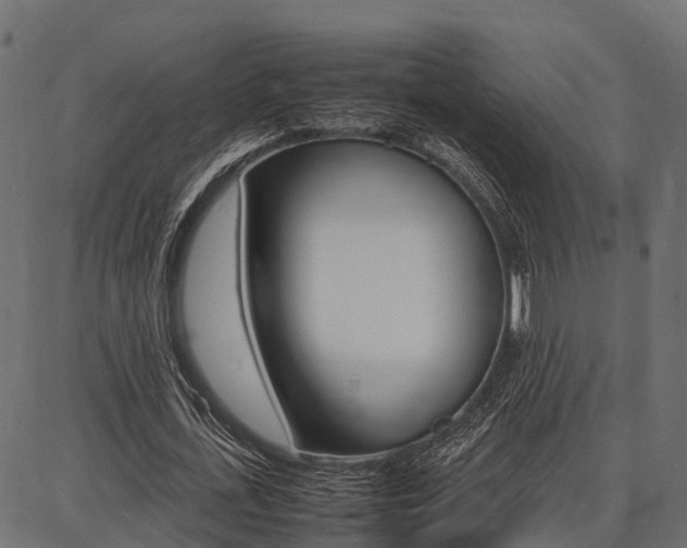 X0000086740723200704130732