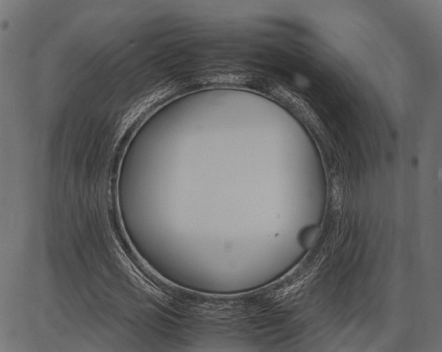 X0000086740725200704130732