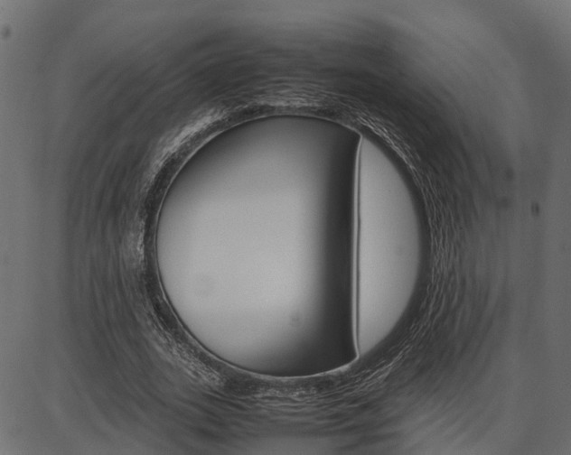X0000086740727200704130732