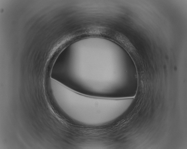 X0000086740728200704130732