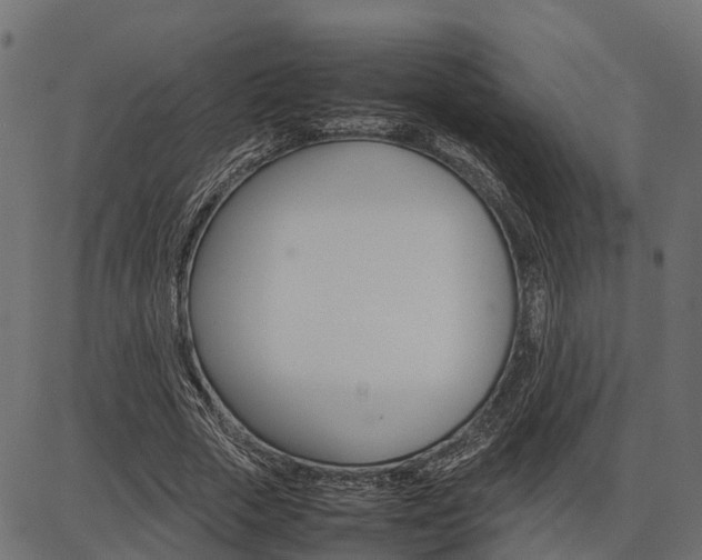 X0000086740729200704130732