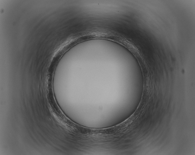 X0000086740730200704130732