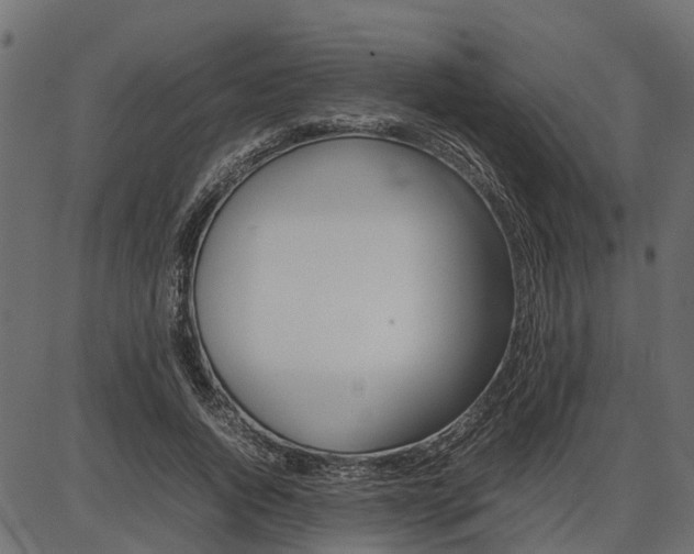 X0000086740736200704130732