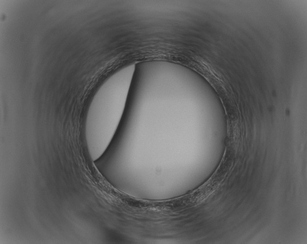 X0000086740737200704130732