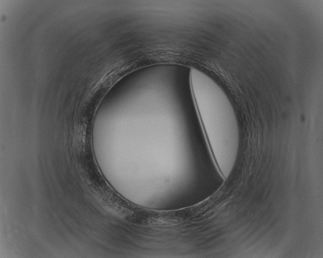 X0000086740739200704130732