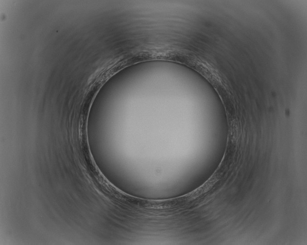 X0000086740740200704130732