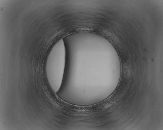 X0000086740741200704130732