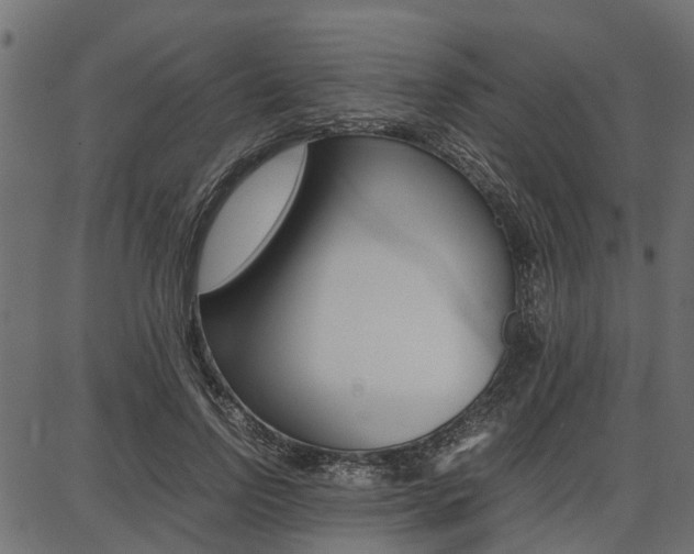 X0000086740742200704130732