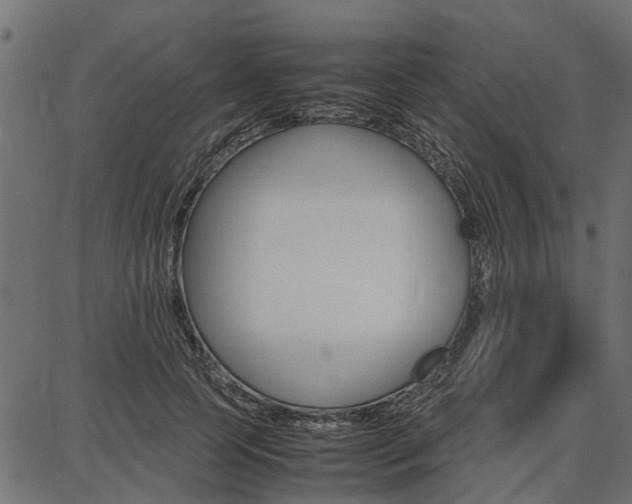 X0000086740745200704130732