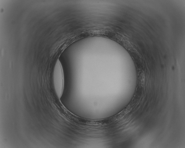X0000086740746200704130732