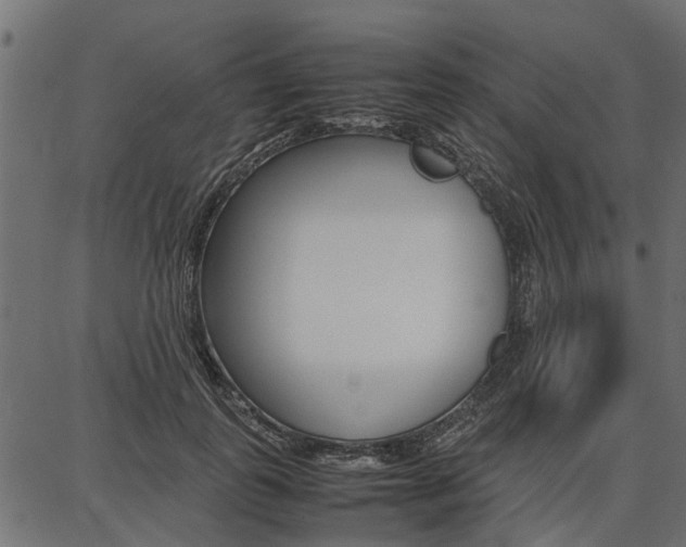 X0000086740747200704130732