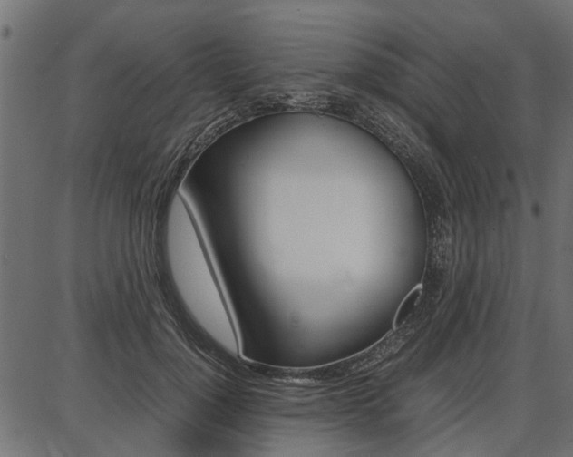 X0000086740748200704130732