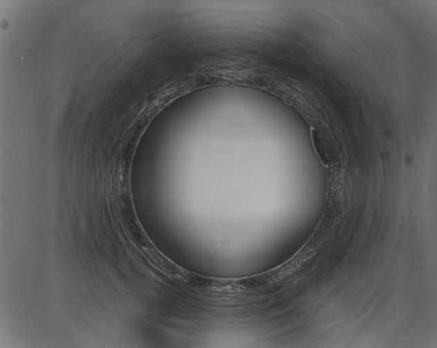 X0000086740752200704130732