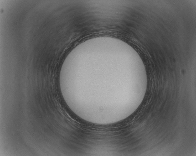 X0000086740760200704130732