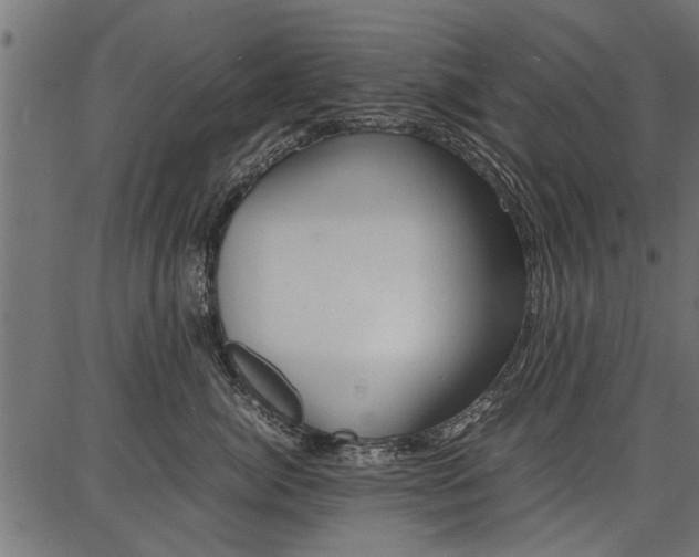 X0000086740764200704130732