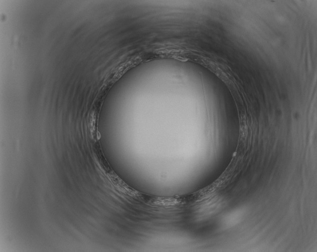 X0000086740767200704130732
