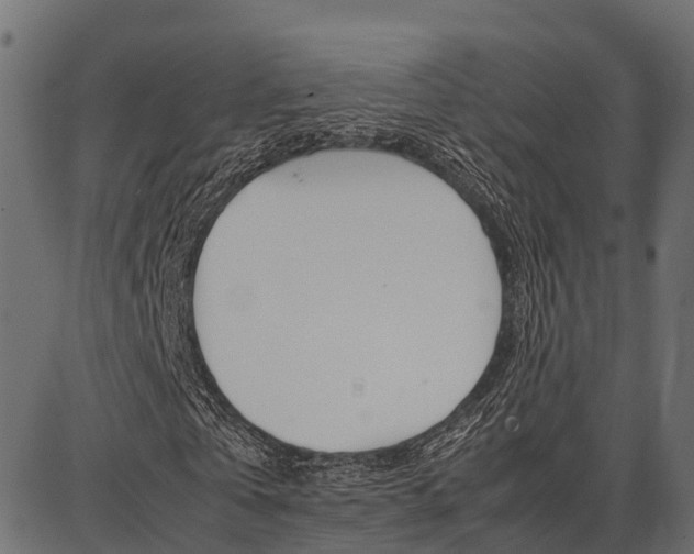 X0000086740769200704130732