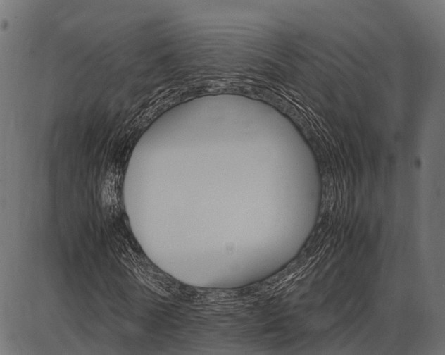 X0000086740770200704130731