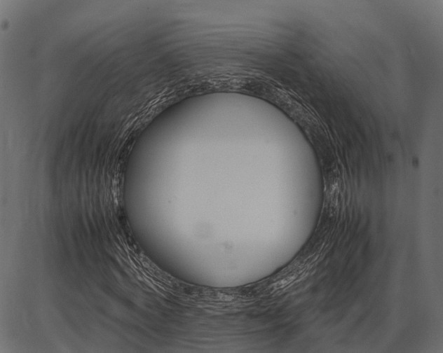 X0000086740772200704130731