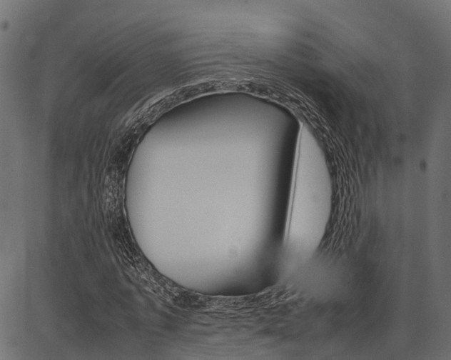 X0000086740773200704130731