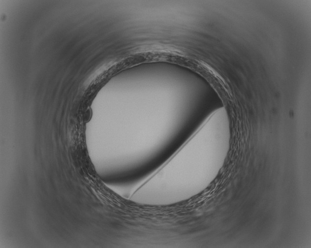 X0000086740775200704130731