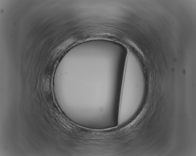X0000086740777200704130731
