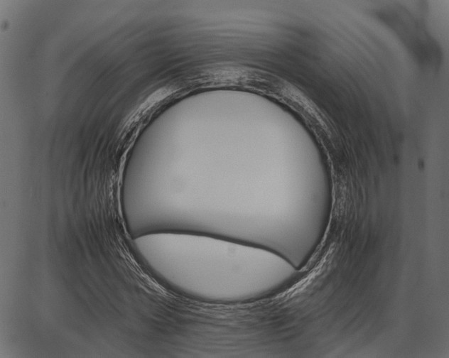 X0000086740778200704130731
