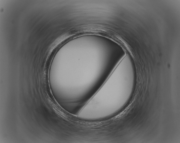 X0000086740779200704130731