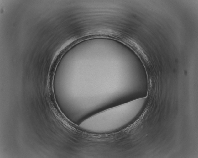 X0000086740780200704130731