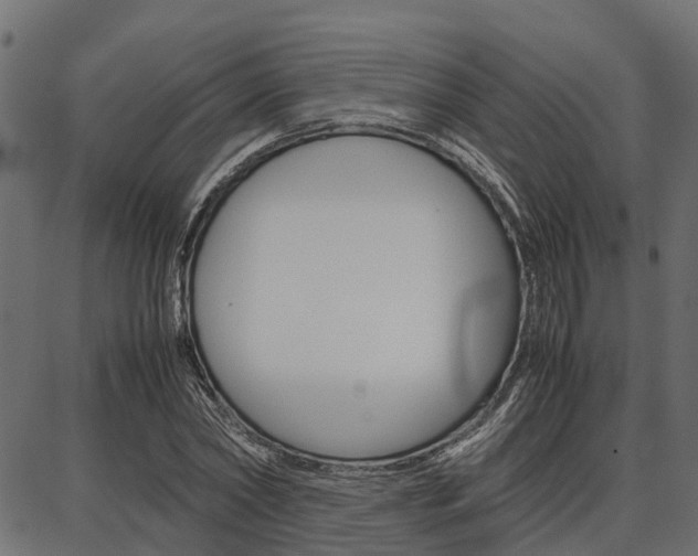 X0000086740782200704130731