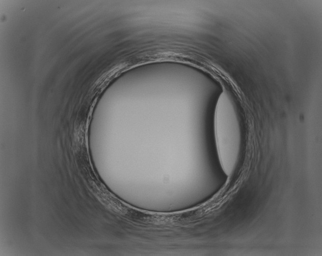 X0000086740785200704130731