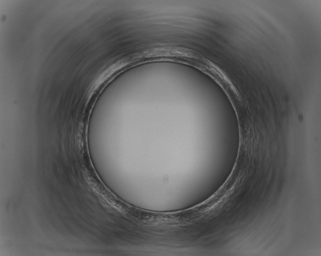 X0000086740786200704130731