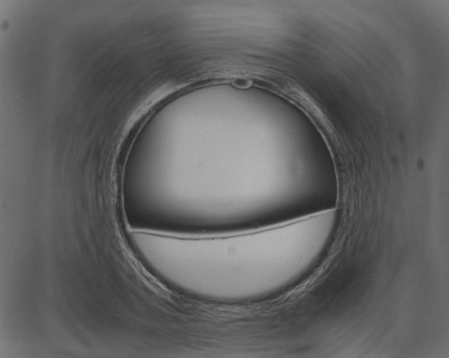 X0000086740787200704130731