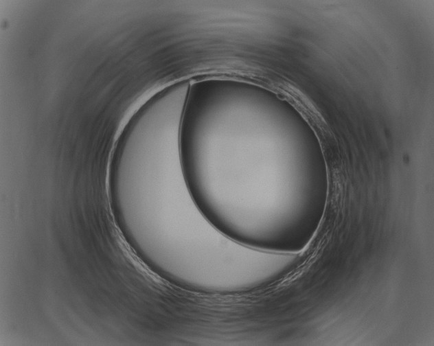 X0000086740788200704130731