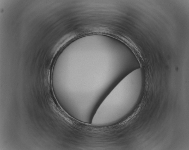 X0000086740790200704130731