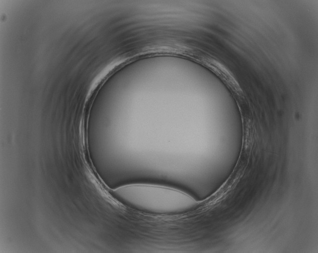 X0000086740796200704130731