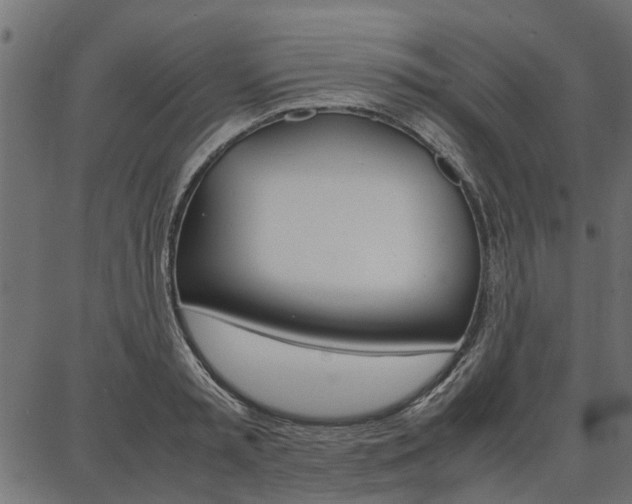 X0000086740797200704130731