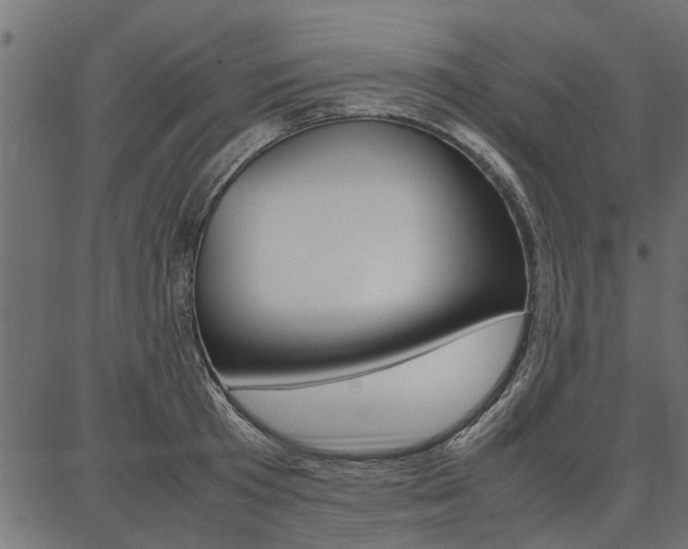 X0000086740801200704130731