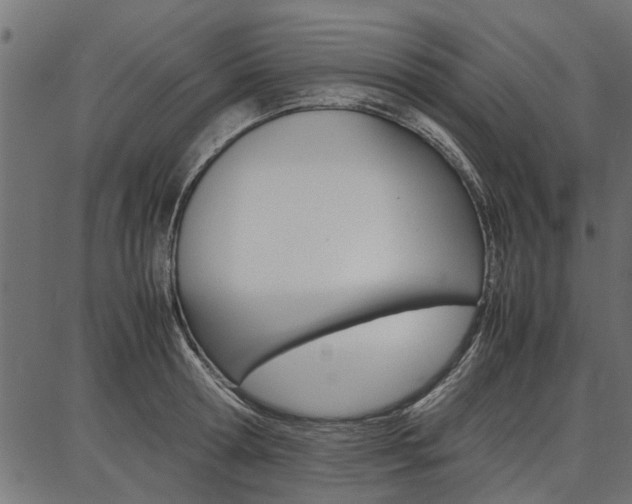 X0000086740802200704130731